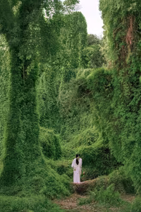 Explore Khanh Hoa's Mossy Melaleuca Forest: Enchanting Beauty Captivates Young Travelers-1