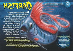 Giant Oarfish: Ocean Mystery, Natural Disaster Omen from the World's Longest Bony Fish-4