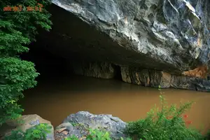 Phong Nha Cave: Discover the Magical Stalactite Wonders of Vietnam's World Heritage Site-7