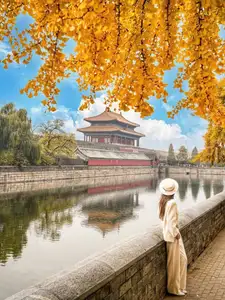Golden Autumn Beijing: Discover Ginkgo Leaf Beauty & Capture Unforgettable Memories | Perfect Journey-4