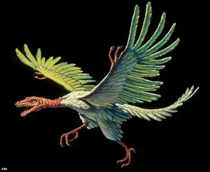 Archaeopteryx Mystery: Primitive Bird Reveals Dinosaur Evolution's Turning Point to Birds-3