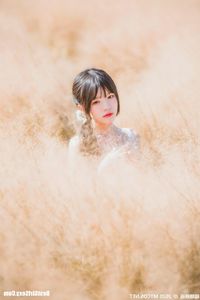 MTYH Vol.224: Feminine Beauty in a Golden Late Autumn Field - Enchanting Girl Photo-24