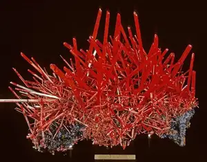 Discover Crocoite: The world's rarest brilliant orange-red mineral, a stunning crystal masterpiece-4