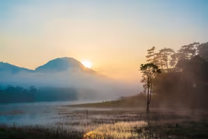 View - Suoi Tia Da Lat: Discover the Ethereal Misty Fairyland at Dawn-4