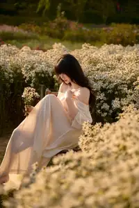 Poetic Beauty in a Daisy Garden: Serene Moments Under Gentle Sunset Glow. Discover This Dreamy Scene!-1