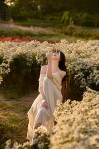 Poetic Beauty in a Daisy Garden: Serene Moments Under Gentle Sunset Glow. Discover This Dreamy Scene!-8