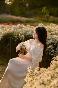 Poetic Beauty in a Daisy Garden: Serene Moments Under Gentle Sunset Glow. Discover This Dreamy Scene!-0