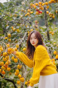 VGU No.120: Radiant Youth Amidst Golden Blooms – A Captivating Summer Portrait-27