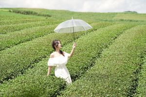 Serene Girl Embracing Nature & Book in Lush Green Tea Hill-7