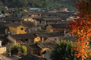 Lolo Chai: Uncover the Rustic Beauty of an Ancient Village & Its 'World's Most Enduring' Persimmon Tree, a Tourist Magnet-5