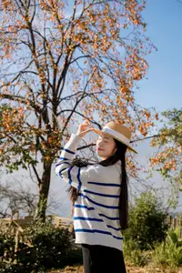 Sapa's Golden Empress Persimmon Tree: A Winter Wonderland for Tourists to Check-in-9