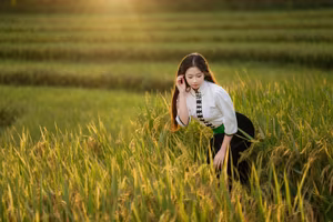 VGU No.32: Graceful Young Woman Amidst Golden Terraced Fields, Discover Vietnam's Cultural Beauty-10