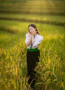 VGU No.32: Graceful Young Woman Amidst Golden Terraced Fields, Discover Vietnam's Cultural Beauty-2