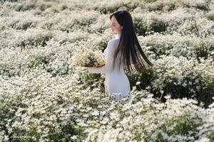 Elegant Vietnamese Woman in White Ao Dai Amidst Blooming Daisy Field - VGU No.123-9