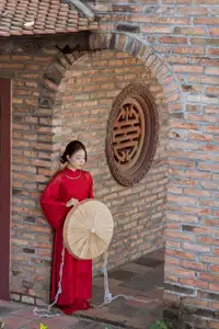 Graceful Vietnamese Traditional Ao Dai: Timeless Elegance 1000024747-12