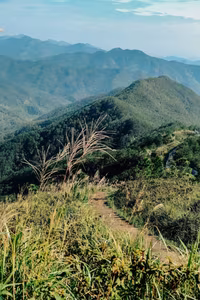 Discover Binh Lieu Stunning Reed Grass Fields Majestic Vietnam Nature View-5
