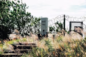 Discover Binh Lieu Stunning Reed Grass Fields Majestic Vietnam Nature View-9