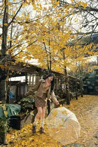 Sa Pa's Golden Ginkgo Season: A Romantic Mountain Escape for End-of-Year Check-ins-8