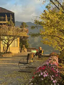 Sa Pa's Golden Ginkgo Season: A Romantic Mountain Escape for End-of-Year Check-ins-4