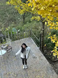 Sa Pa's Golden Ginkgo Season: A Romantic Mountain Escape for End-of-Year Check-ins-1