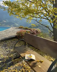 Sa Pa's Golden Ginkgo Season: A Romantic Mountain Escape for End-of-Year Check-ins-0