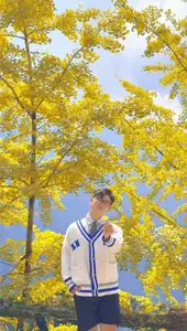 Sa Pa's Golden Ginkgo Season: A Romantic Mountain Escape for End-of-Year Check-ins-2