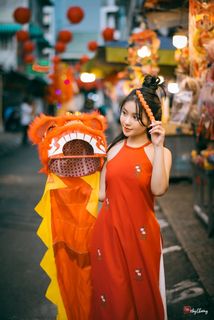 Vietnamese Mid-Autumn Festival: Graceful Girl with Traditional Carp Lantern & Poetic Beauty-2
