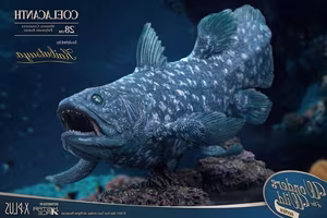 View: Uncover the Mystery of the Coelacanth – The 'Living Fossil' Animal Surviving from Ancient Times-5