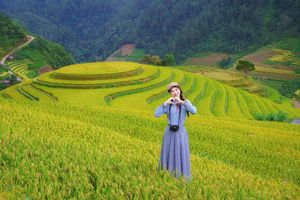 Explore Vietnam's Majestic Terraced Fields: Where Nature Meets Human Spirit 1000019782-11
