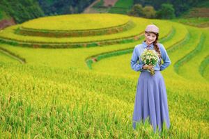 Explore Vietnam's Majestic Terraced Fields: Where Nature Meets Human Spirit 1000019782-18