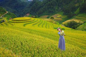 Explore Vietnam's Majestic Terraced Fields: Where Nature Meets Human Spirit 1000019782-17