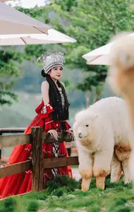 Ethnic Woman in Vibrant Traditional Attire 1000024497-7