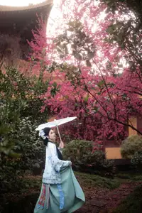 Timeless Grace: YiTuYu Art Language Vol.8576 TOT in Ancient Chinese Splendor-7