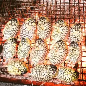 Mekong Delta's Humble Fish: Transformed into an Exquisite Grilled Delicacy for Food Lovers.-7