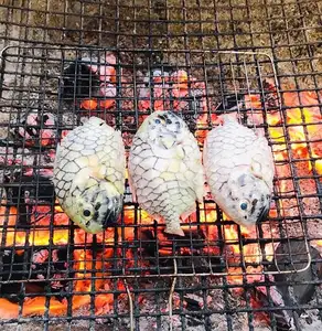 Mekong Delta's Humble Fish: Transformed into an Exquisite Grilled Delicacy for Food Lovers.-8