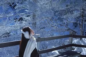 Explore Yunnan Conquer Snow Paradise Find Your Ideal Tour-2