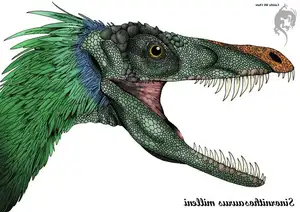 Ancient Creatures Discover Sinornithosaurus Venomous Feathered Dinosaur Mystery-3