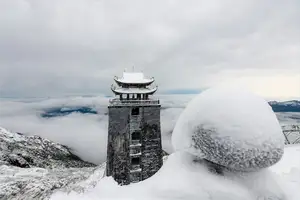Discover Vietnam's Enchanting Winter Wonderland: Mystical Frost-Covered Landscapes Await You-4