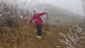 Discover Vietnam's Enchanting Winter Wonderland: Mystical Frost-Covered Landscapes Await You-12