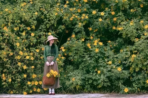 Experience Da Lat's Golden Wild Sunflowers A Breathtaking Vietnamese Natural Landscape-6