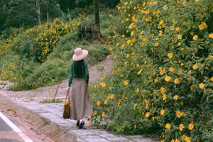 Experience Da Lat's Golden Wild Sunflowers A Breathtaking Vietnamese Natural Landscape-2