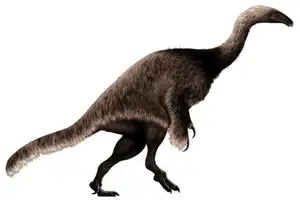 Discover Nothronychus: The Bizarre Dinosaur with 30cm Claws and Tiny Head-5