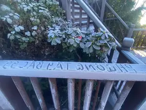 Fansipan's Early Season Frost: Majestic Peaks Covered in Ice, Inviting Travelers to Explore-6