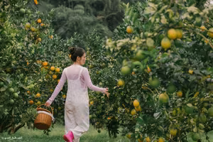 Moc Chau Autumn Check in at the vast pink grass hills and experience breathtaking peaceful nature-1